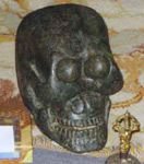 Ancient Jake Skull with Kathleen Murray