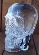 Sam - an unusual skull from Jaap